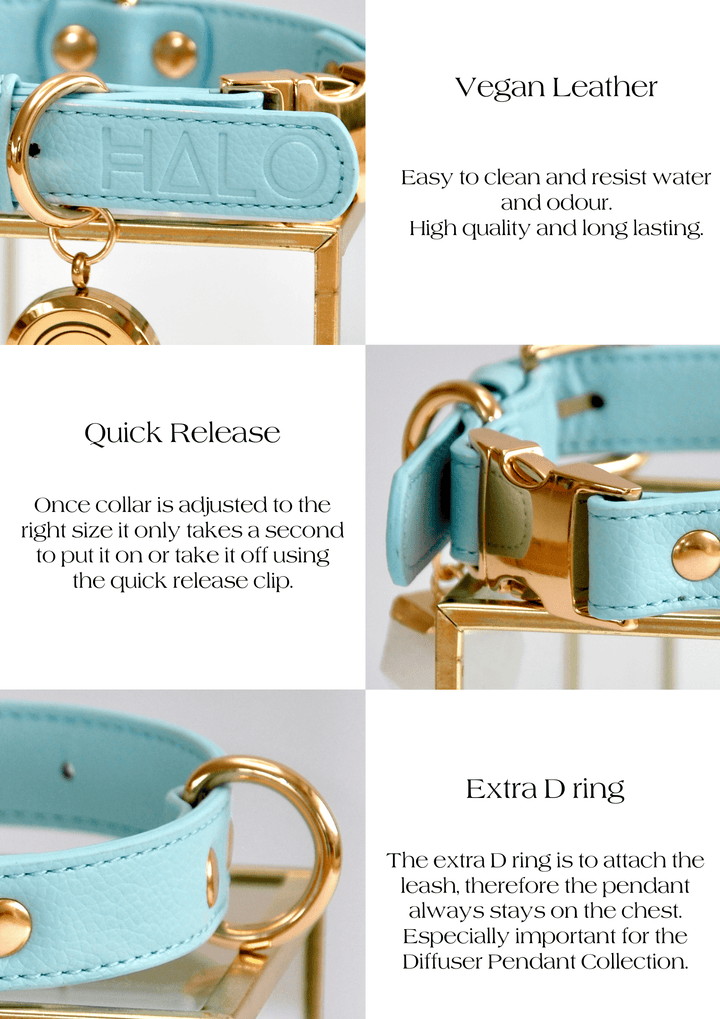 Blue Dog collar , key benefits and featurues,  blue dog accessories, designer collar dog, dog collar with quick release.