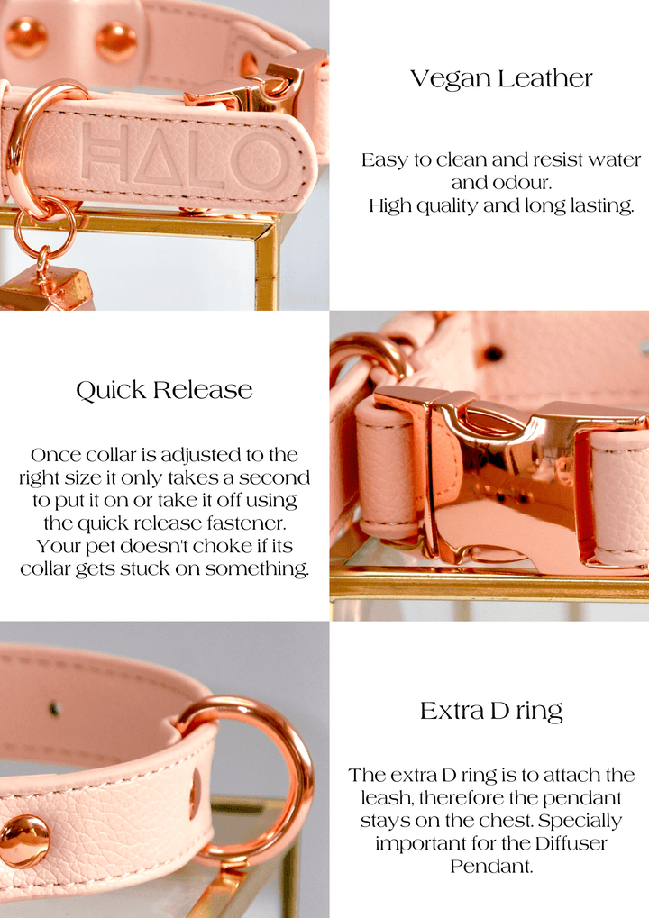 Pink Vegan leather collar benefits. natural anxiety relief for dogs. Dog pink collar.