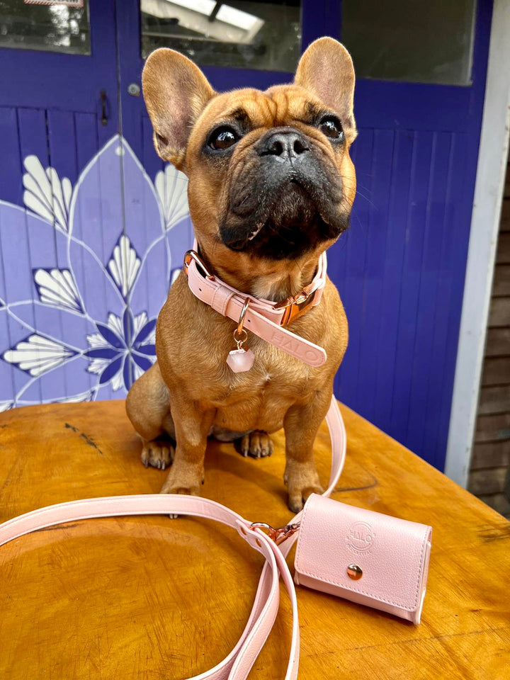 Pink Dog collar with rose quartz crystal, pink dog accessories, dog leash, poop bag holder, designer collar dog.  Rose Quartz helps with  bonding, love and connection with your newly adopted dog after dog rescue or dog adoption. Great designer puppy collar pink,crystal therapy for dogs, healing crystals for dog collars, calming crystals for dogs, dog collars with healing crystals, calming crystals for dogs