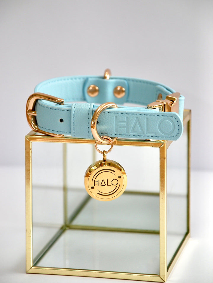 Blue dog collar. Blue vegan leather dog collar. Pet aromatherapy with Halo Pet Aromatherapy Collar. Pet aromatherapy with Pure Happiness Pet Essential Oil. 100% pure and natural, combining several organic essential oils this essential oil blend help to balance & uplift your pet’s mood and to create an immediate bond between the two of you.  Great for bonding, love and connection with your newly adopted dog after dog rescue or dog adoption. 