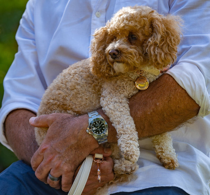 Aromatherapy Collar with Pure Happiness Essential Oil. Off white dog collar. Vegan leather dog collar. Pet aromatherapy with Halo Pet Aromatherapy Collar. Discover the ultimate dog anxiety treatment with the Halo Pet Aromatherapy Collar. Use it with Inner Peace Pet Essential Oil, 100% pure and natural, combining several organic essential oils.Off white dog leash.