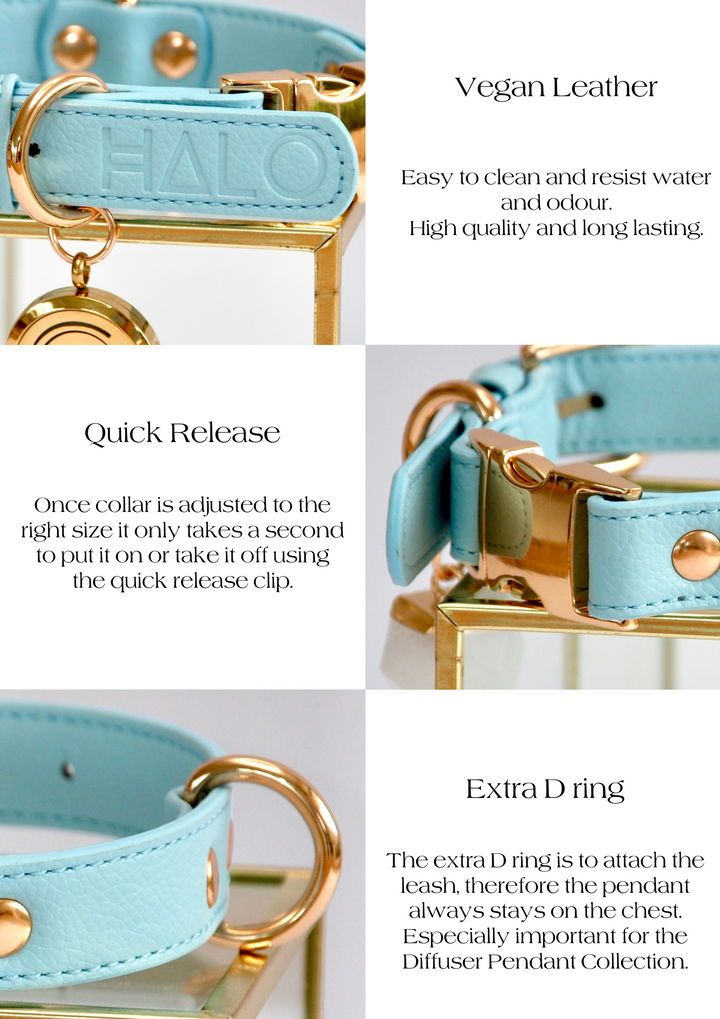 Halo Pet Crystal Iced Aqua Collar Benefits