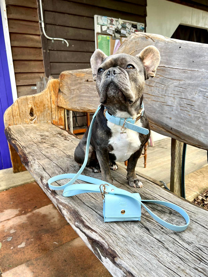 Halo Pet Crystal - Iced Aqua Crystal Set Edition™ French Bulldog
