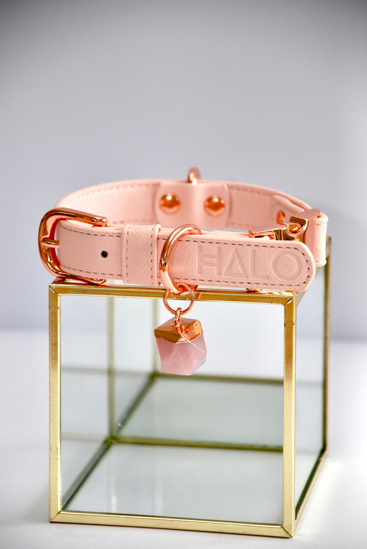 Halo Pet Crystal Pink Champagne Crystal Collar™