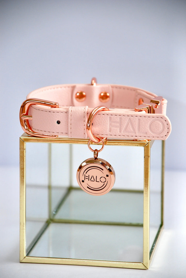 Halo Pet Crystal - Pink Champagne Diffuser Collar™ Front