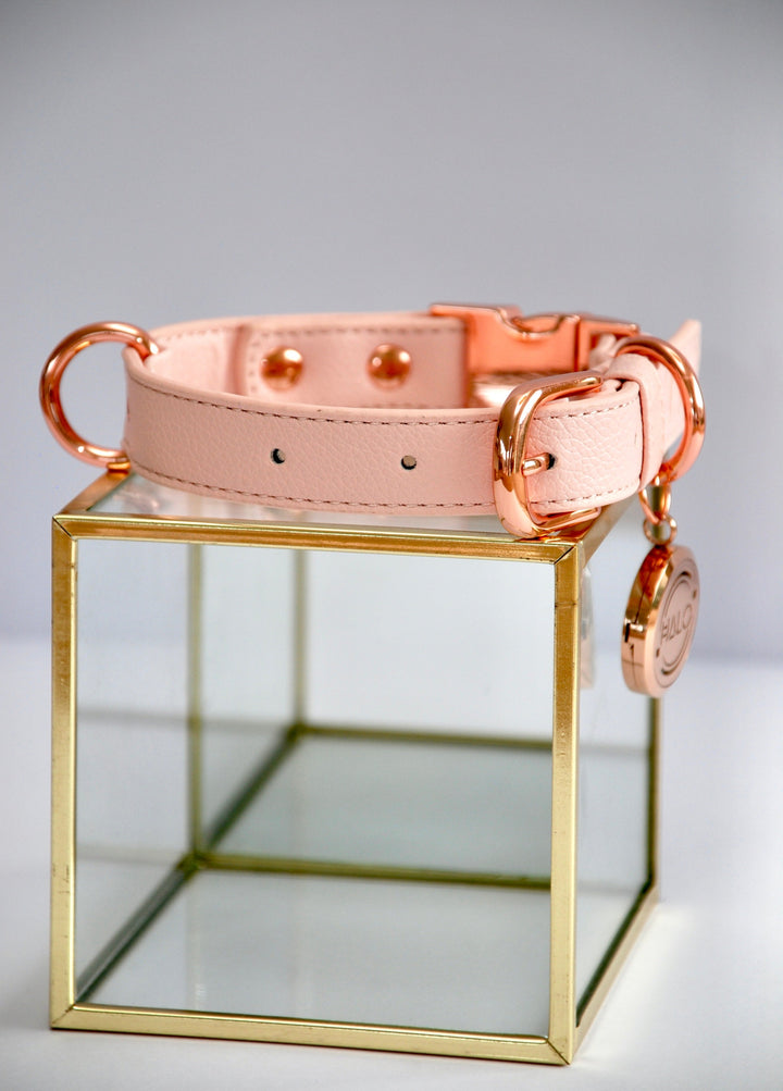 Halo Pet Pink Champagne Diffuser Collar™ Side 2
