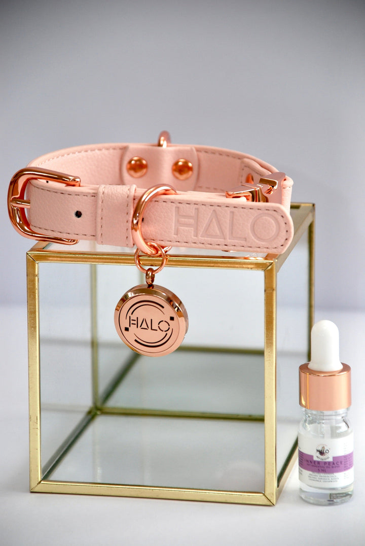 Halo Pet Crystal - Pink Champagne Diffuser Collar™ Front