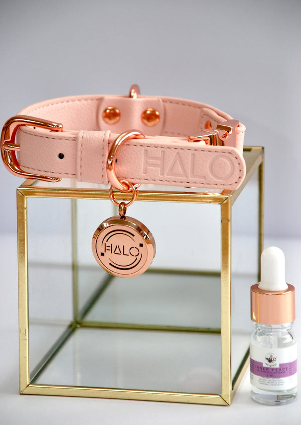 Halo Pet Pink Champagne Diffuser Collar™