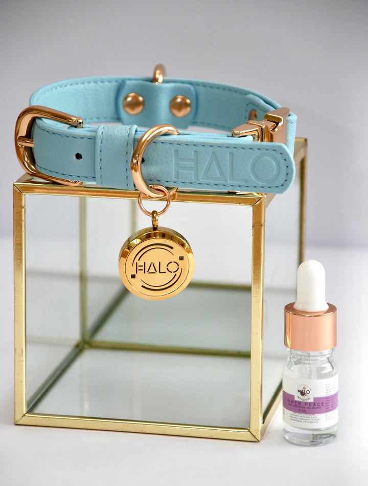 Halo Pet Crystal - Iced Aqua Diffuser Collar™ with Inner Peace Pet Essential Oil