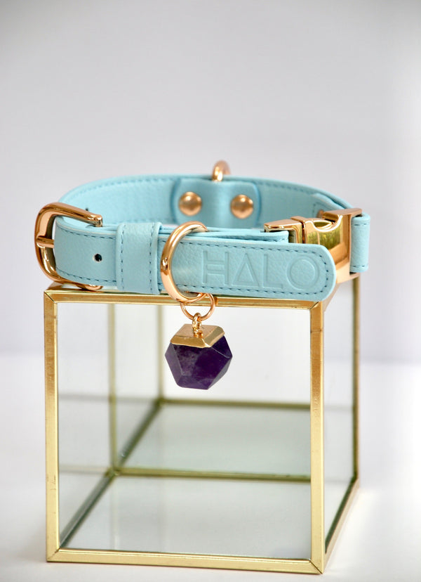 Halo Pet Iced Aqua Crystal Collar™ with Amethyst pendant