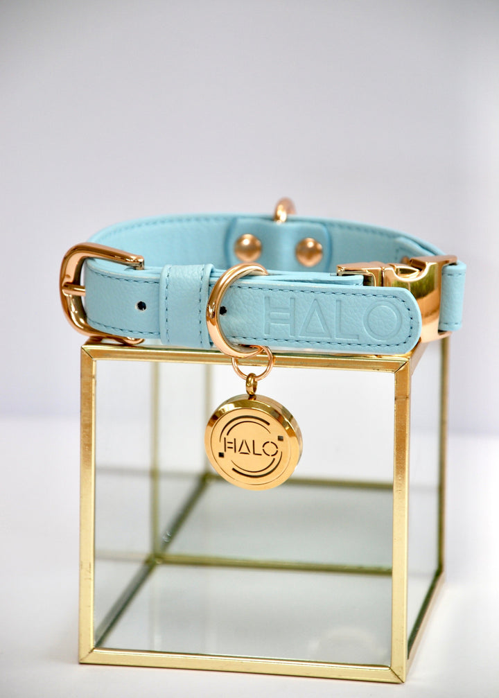 Halo Pet Crystal - Iced Aqua Diffuser Collar™