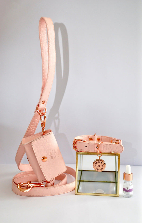 Halo Pet Crystal - Pink Champagne Diffuser Set Edition™