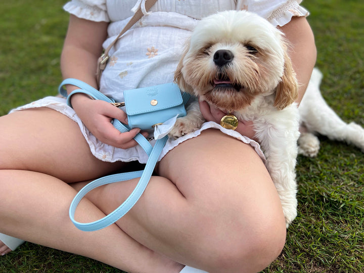 Benjy is wearing a Halo Pet Crystal - Iced Aqua Diffuser Set Edition™
