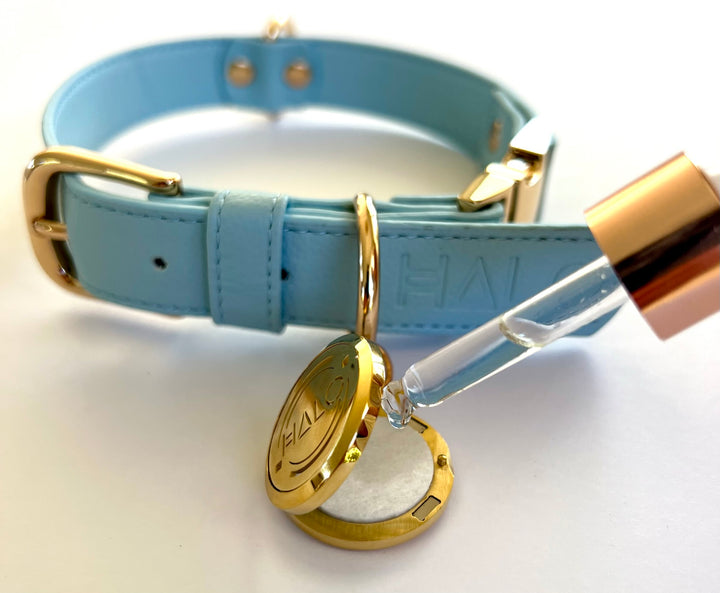Halo Pet Crystal Iced Aqua Blue Collar with Diffuser Pendant How to fill up