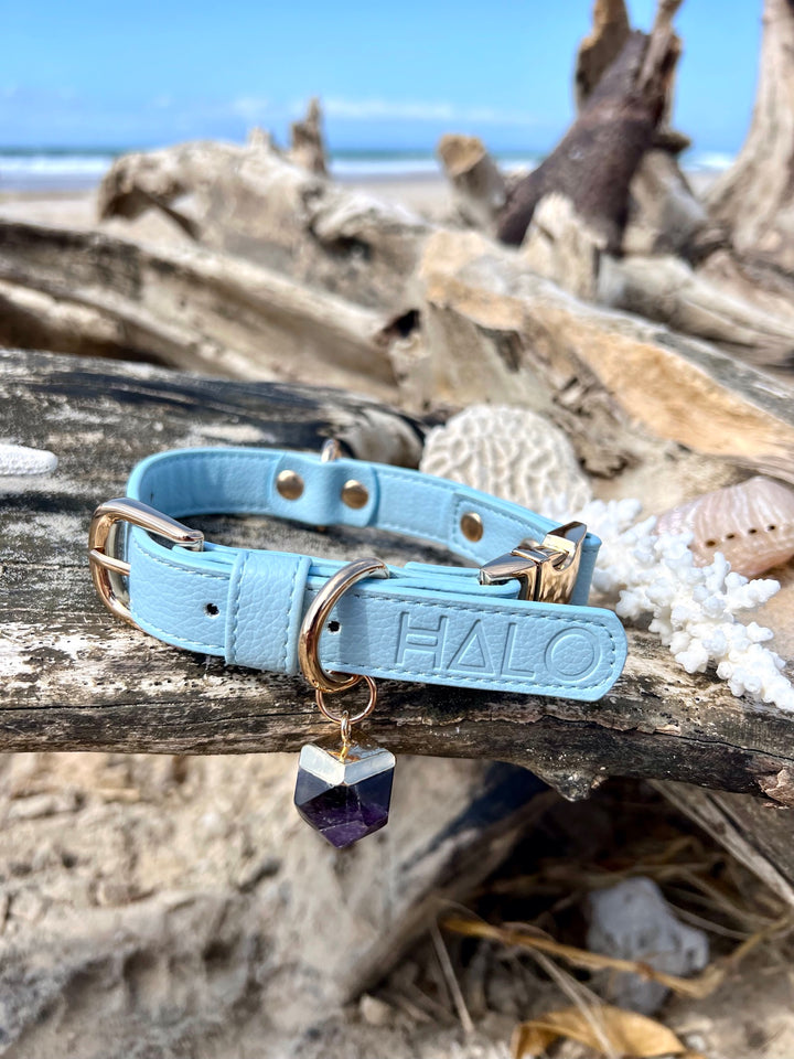 Halo Pet Crystal Iced Aqua Collar with Amethyst Crystal Blue