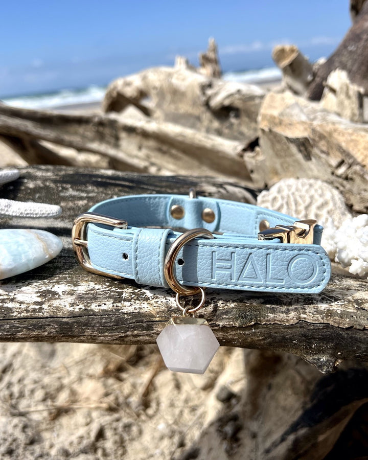 Halo Pet Crystal Iced Aqua Collar with Clear Quartz Crystal Blue
