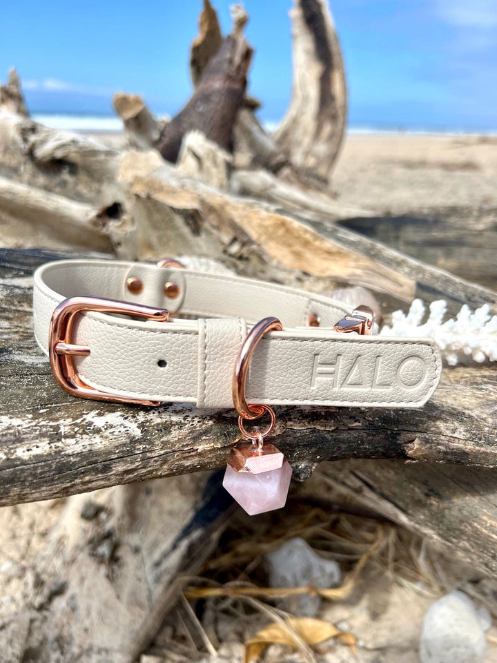 Halo Pet Crystal Royal Beige Off White Collar with Rose Quartz Crystal at beach