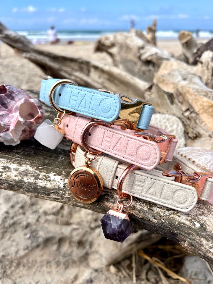 Halo Pet Crystal Pink Champage Diffuser Pendant Collar with Pure Happiness Pet Essential Oil Blend on beach