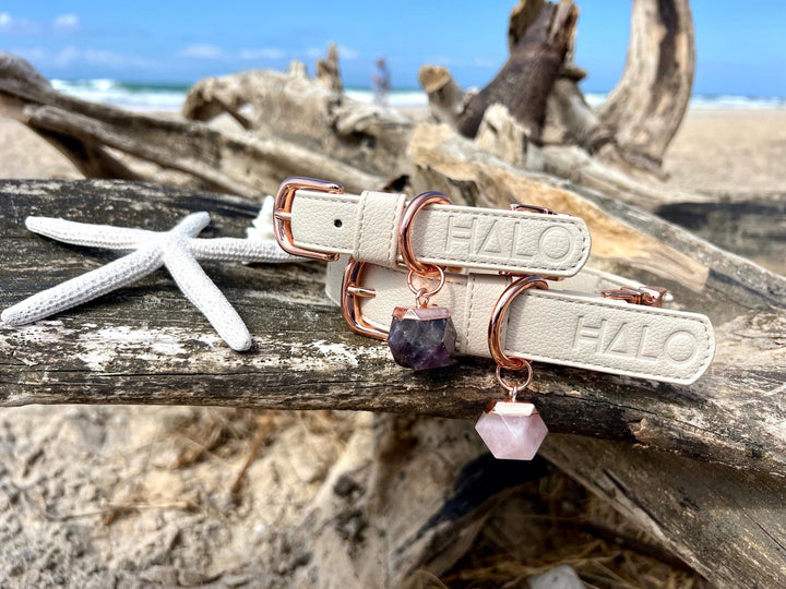 Halo Pet Crystal Royal Beige Off White Collar with Rose Quartz and Amethyst Crystal at the beach