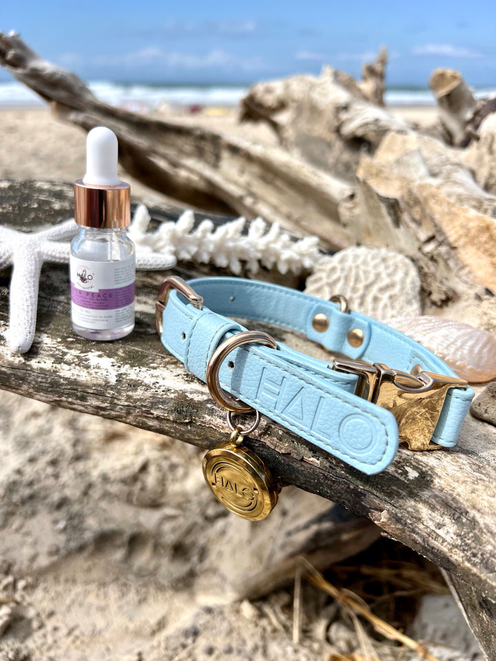 Halo Pet Crystal Iced Aqua Diffuser Pendant Collar with Inner Peace Pet Essential Oil Blend Blue