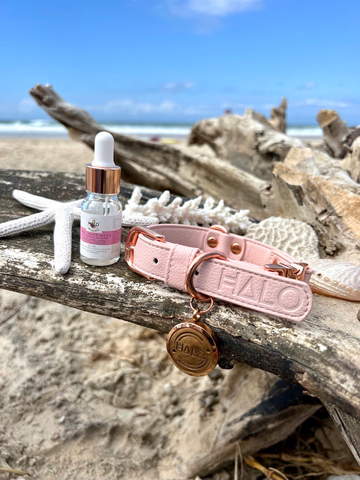 Halo Pet Crystal Pink Champage Diffuser Pendant Collar with Pure Happiness Pet Essential Oil Blend on beach